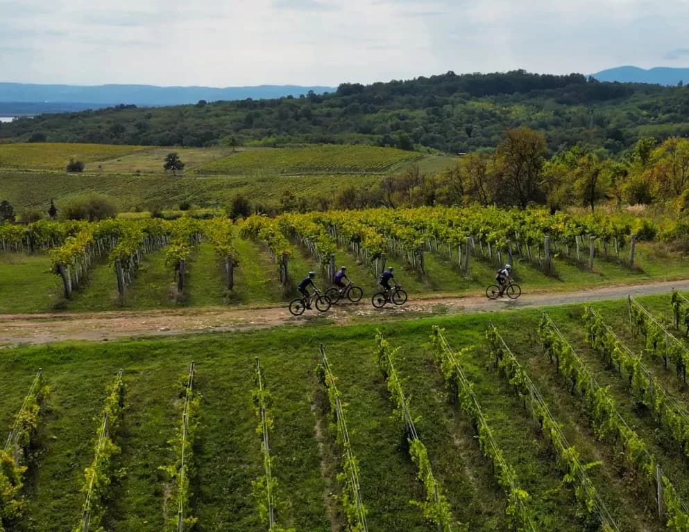 Brodsko-posavska županija postaje hit destinacija za aktivni turizam