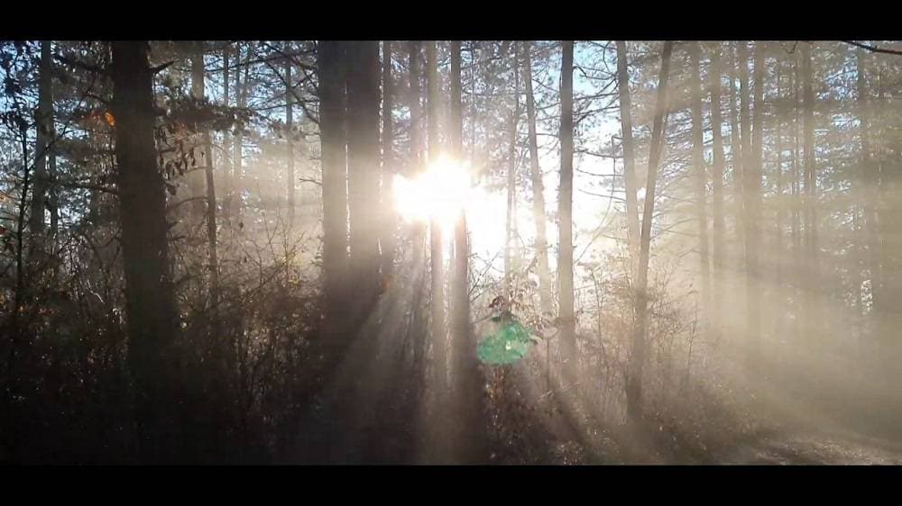 „ČETVRT KNJIGE“ U PLETERNICI: Na Zelenoj radionici predstavljene slikovnice Martine Markov uz druženje s galebom Markom