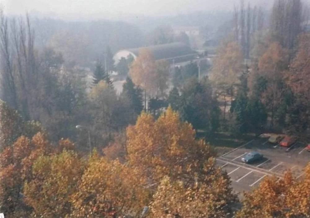 „ČETVRT KNJIGE“ U PLETERNICI: Na Zelenoj radionici predstavljene slikovnice Martine Markov uz druženje s galebom Markom