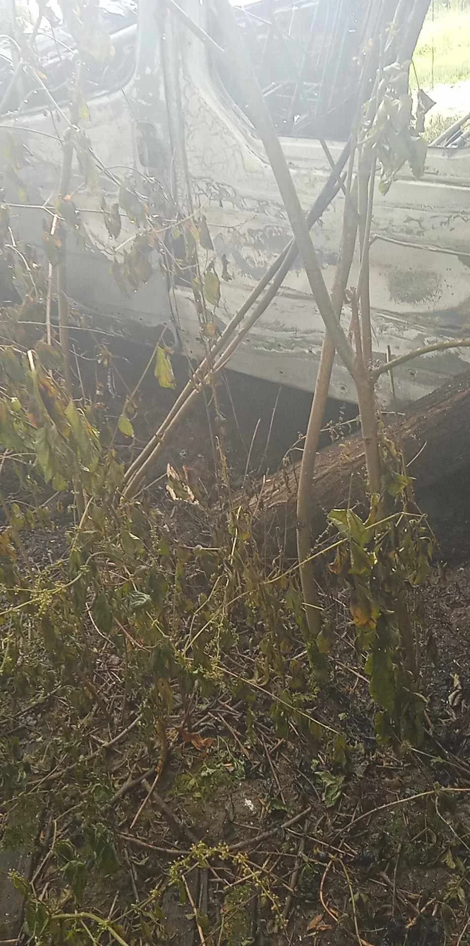 Zapalio se noćas kombi koji je kriumčario migrante: Trebamo li biti sve više zabrinuti!?