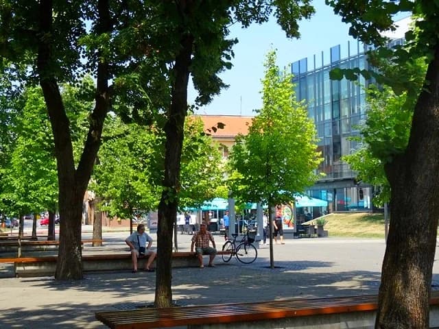 NOVOGRADIŠKA ZELENA SIESTA – Prikupljanje snage za gradski šušur i besane vruće noći u kolovozu