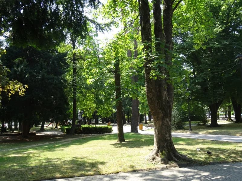 NOVOGRADIŠKA ZELENA SIESTA – Prikupljanje snage za gradski šušur i besane vruće noći u kolovozu