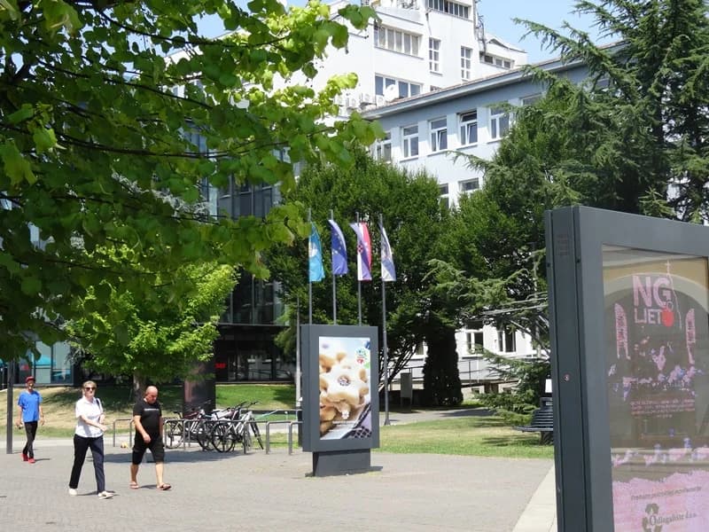 NOVOGRADIŠKA ZELENA SIESTA – Prikupljanje snage za gradski šušur i besane vruće noći u kolovozu
