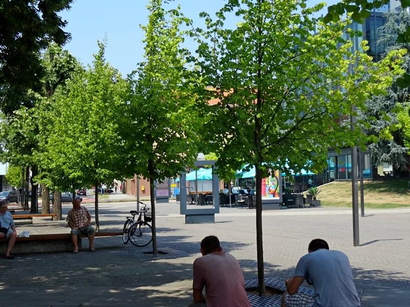 NOVOGRADIŠKA ZELENA SIESTA – Prikupljanje snage za gradski šušur i besane vruće noći u kolovozu