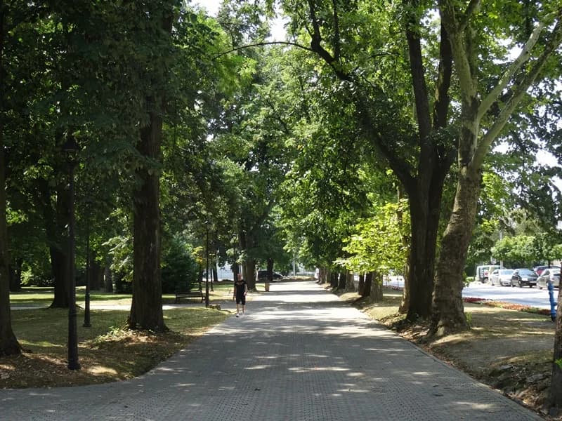NOVOGRADIŠKA ZELENA SIESTA – Prikupljanje snage za gradski šušur i besane vruće noći u kolovozu