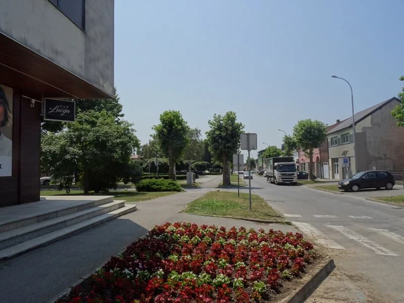 NOVOGRADIŠKA ZELENA SIESTA – Prikupljanje snage za gradski šušur i besane vruće noći u kolovozu