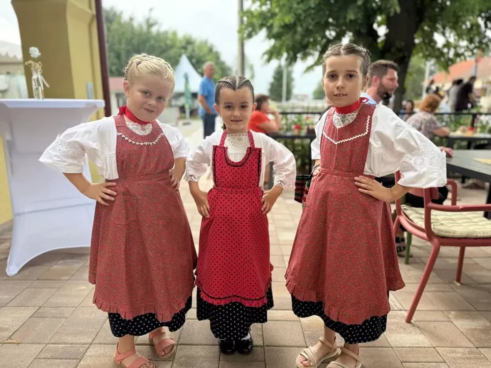 SIKIREVCI - Otvorena kušaonica tradicionalnih jela u slavonskom selu: ʼČetvero zaposlenih vratilo se iz Austrijeʼ