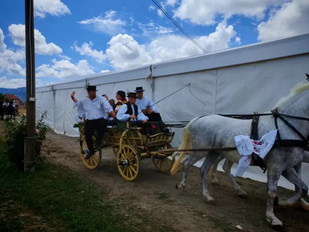 ʼNe idem iz Slavonijeʼ - tradicionalna manifestacija u Lužanima koja je okupila zaljubljenike u konje, slavonsku baštinu i običaje