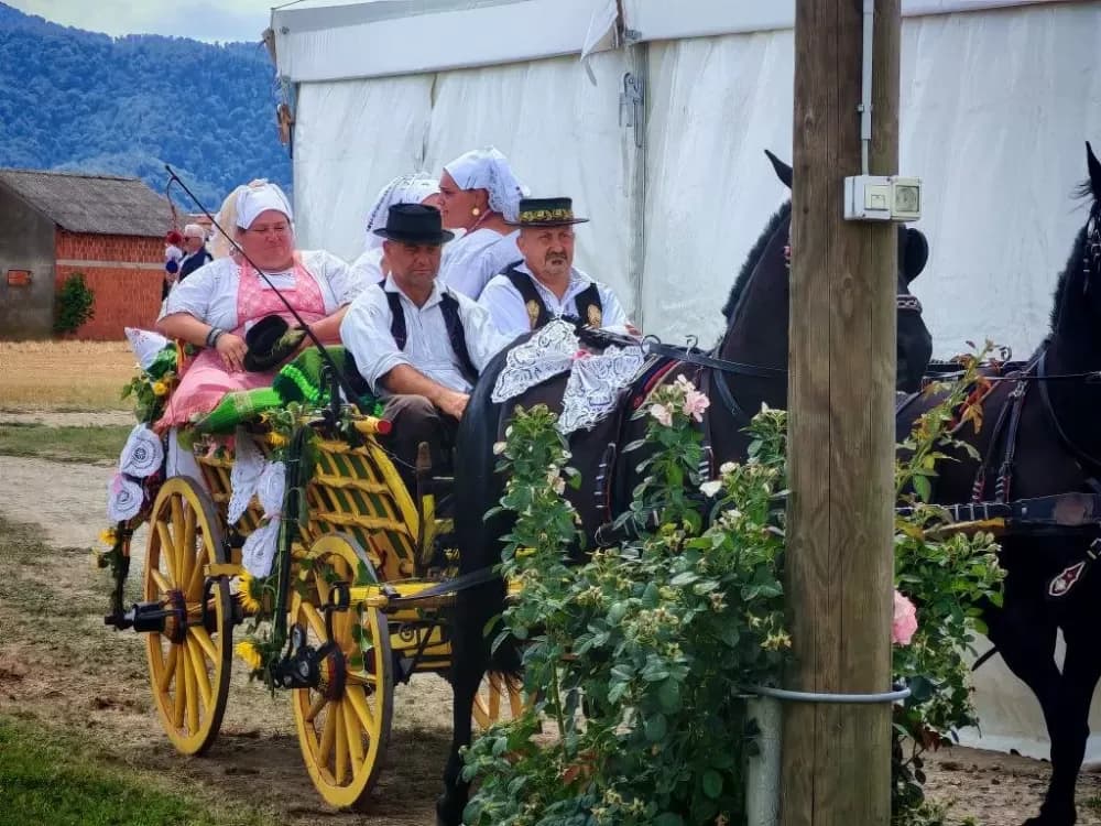 ʼNe idem iz Slavonijeʼ - tradicionalna manifestacija u Lužanima koja je okupila zaljubljenike u konje, slavonsku baštinu i običaje