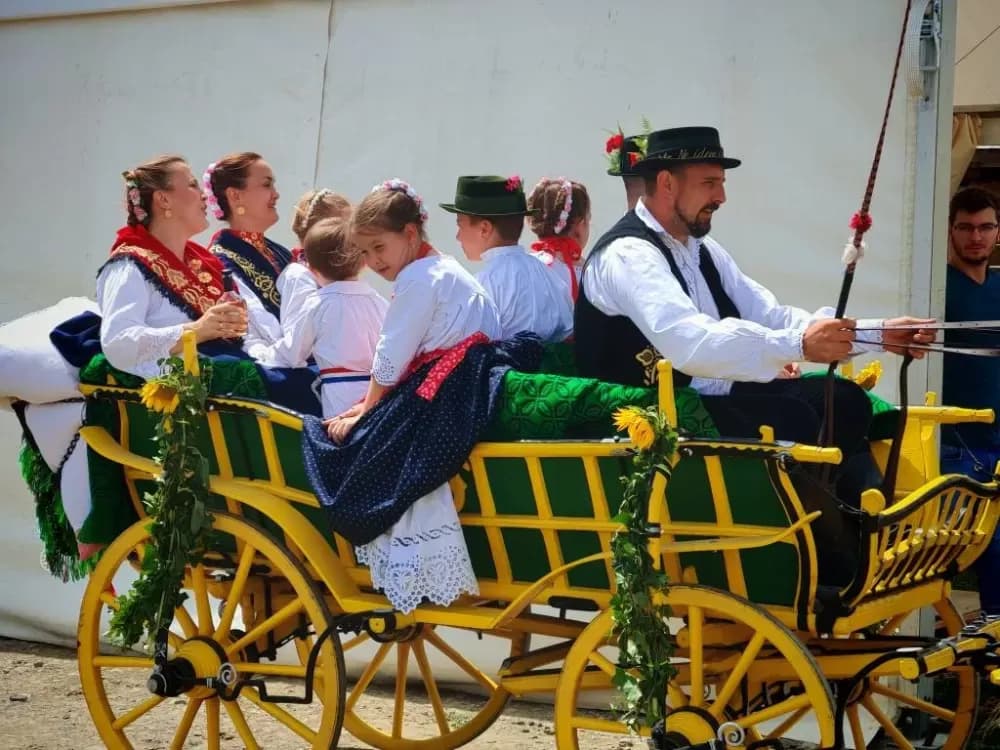 ʼNe idem iz Slavonijeʼ - tradicionalna manifestacija u Lužanima koja je okupila zaljubljenike u konje, slavonsku baštinu i običaje