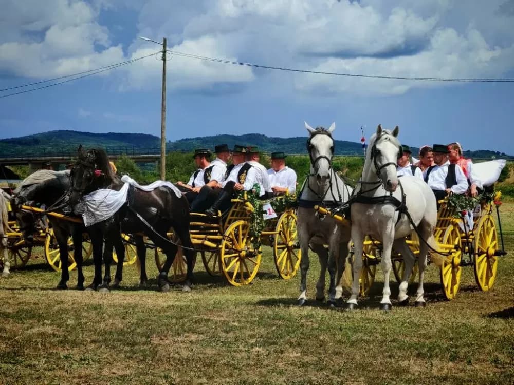 ʼNe idem iz Slavonijeʼ - tradicionalna manifestacija u Lužanima koja je okupila zaljubljenike u konje, slavonsku baštinu i običaje