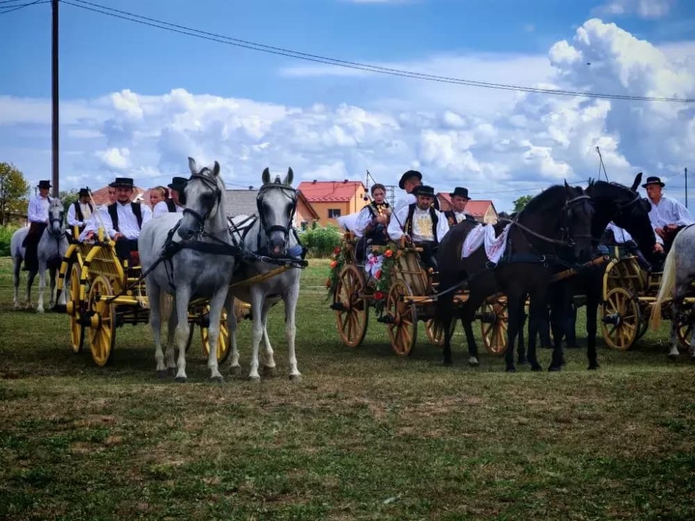 ʼNe idem iz Slavonijeʼ - tradicionalna manifestacija u Lužanima koja je okupila zaljubljenike u konje, slavonsku baštinu i običaje