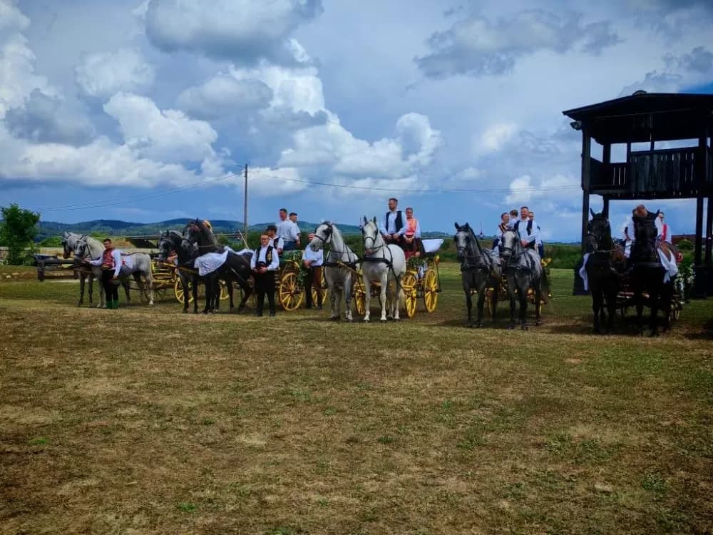 ʼNe idem iz Slavonijeʼ - tradicionalna manifestacija u Lužanima koja je okupila zaljubljenike u konje, slavonsku baštinu i običaje