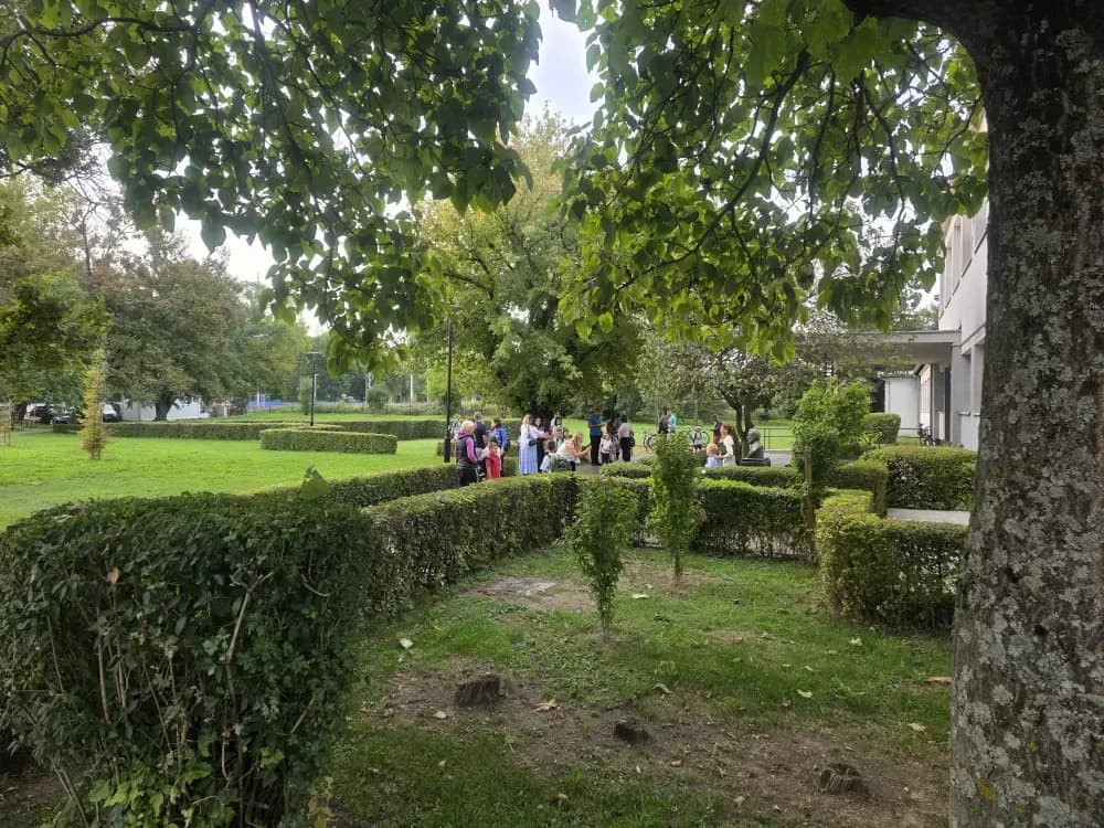 Škola
