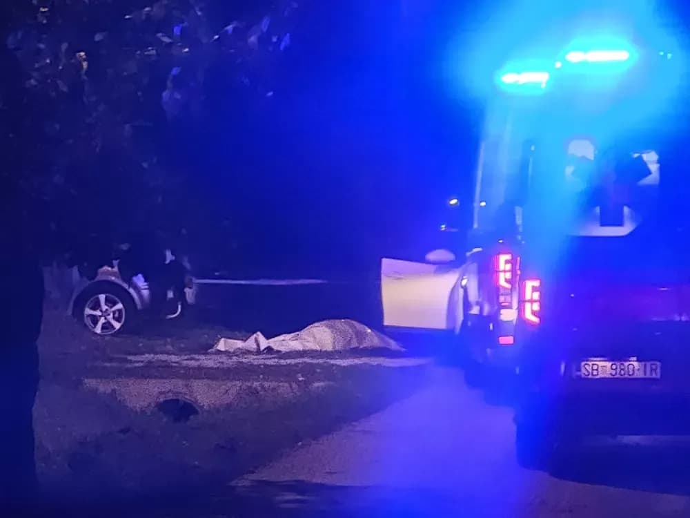 Ubojstvo u Šušnjevcima kod Slavonskog Broda