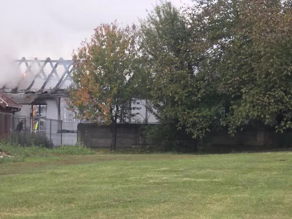 Požar u Alagincima, gore skupocjeni automobili vlasnika Color emajla