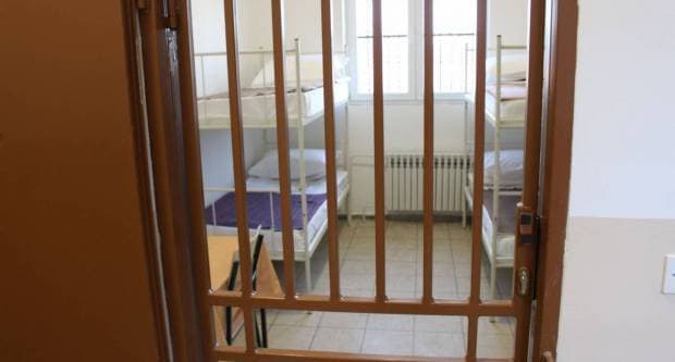 Simfonija iz Mitrovca: Kako su Ante Miličević i Vinko Krsnik vinograd pretvorili u ptičji raj