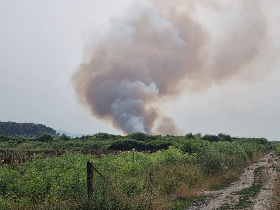 Velika u znaku planinara: Počeli „Papučki jaglaci“