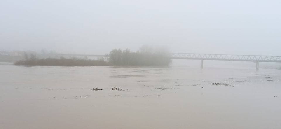Foto 137014
