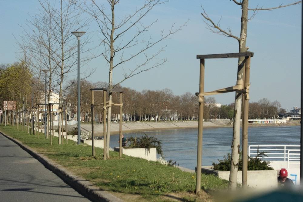 Foto 146610