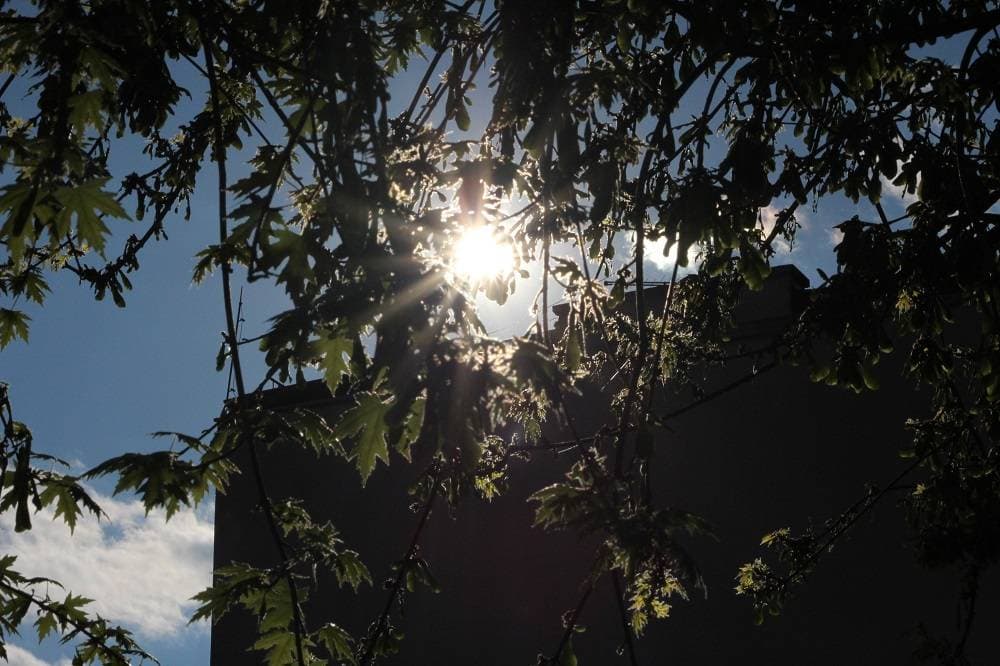 Foto 167302