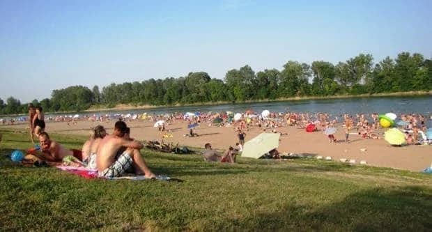 Foto 184218