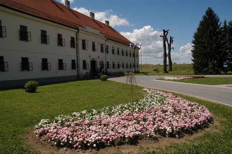 STRELIŠTE U BZENICI: Prvo mjesto Hrvatskoj u gađanju letećih meta na 17. Europskom prvenstvu u kombiniranom lovnom streljaštvu