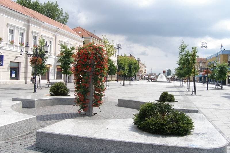 Kutjevački planinari nastavili avanture od Velebita do švicarskih Alpa